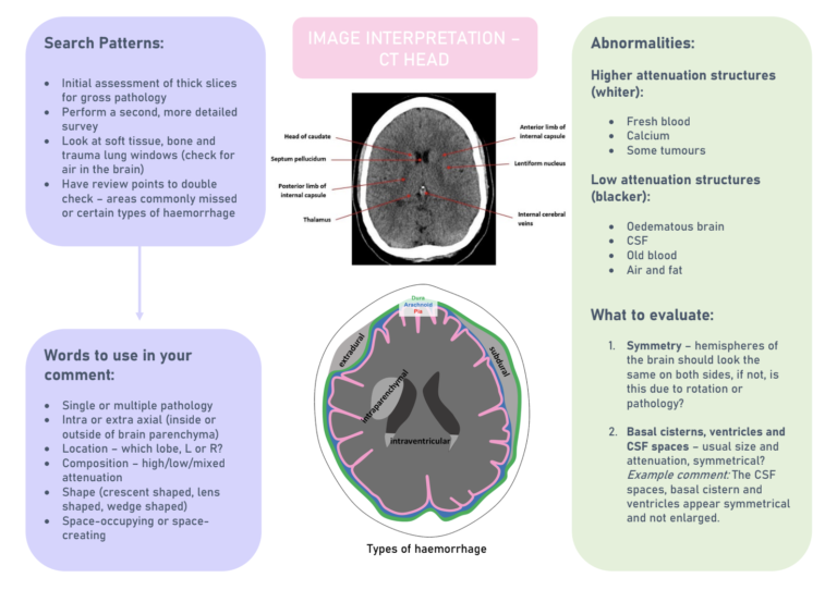 Screenshot 2025-02-21 at 8.23.11 PM